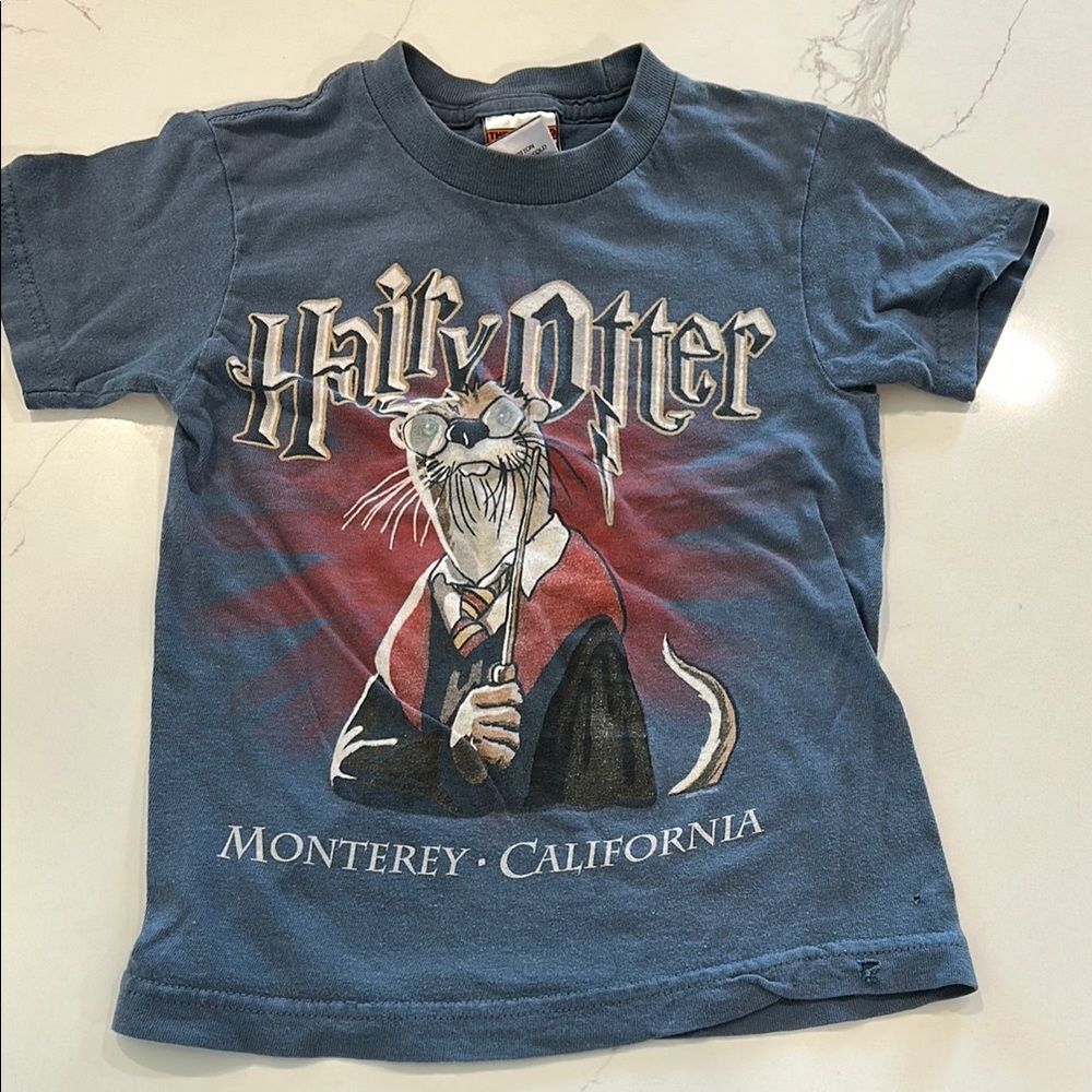 Harry Otter Kids Blue T-Shirt